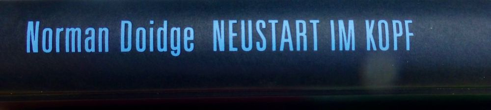 Neustart im Kopf - Wie sich unser Gehirn selbst repariert (Gebraucht ...