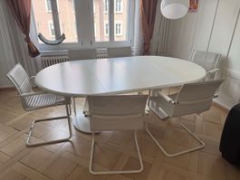Ovaler Esstisch (ausziehbar) mit 6 Freischwinger-Stühlen