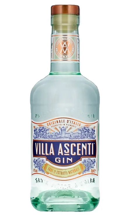 RICARDO GIN S BIELSA visual data 3