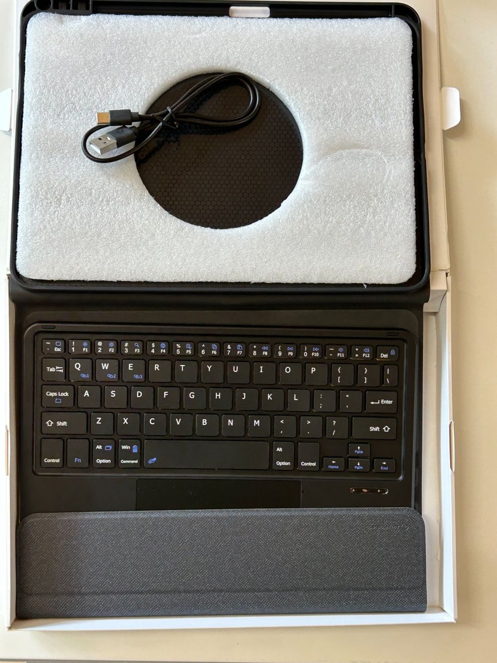 Tastiere: Tastatur zu I Pad Pro – Nuovo (secondo la descrizione) da Thunstetten venduto da Chnuschti18 3