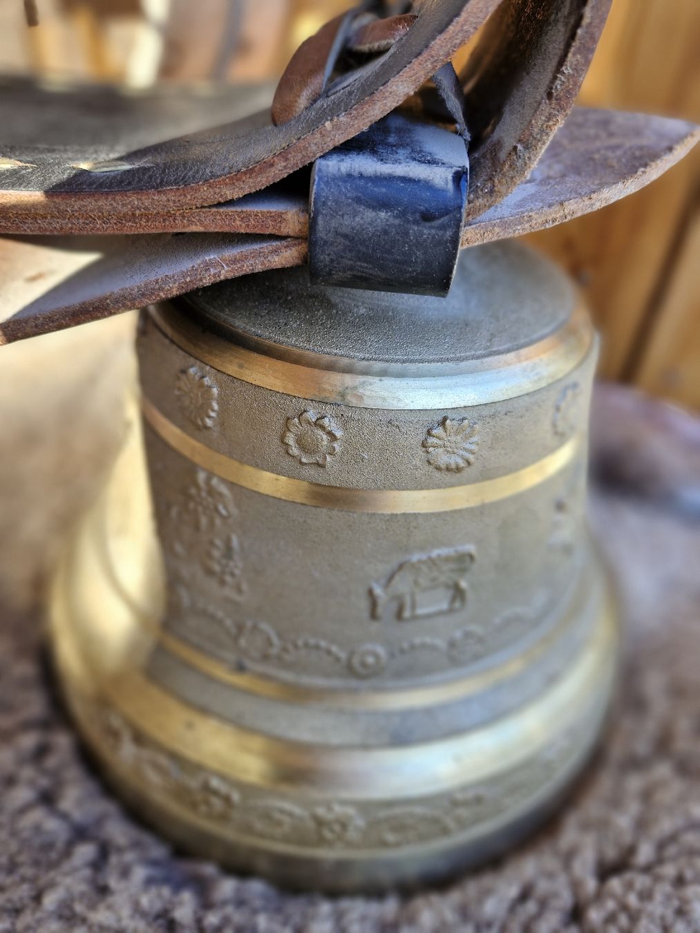 Campanacci mucche: Glocke Treichel – Usato da Guarda venduto da rue_bpd7 1