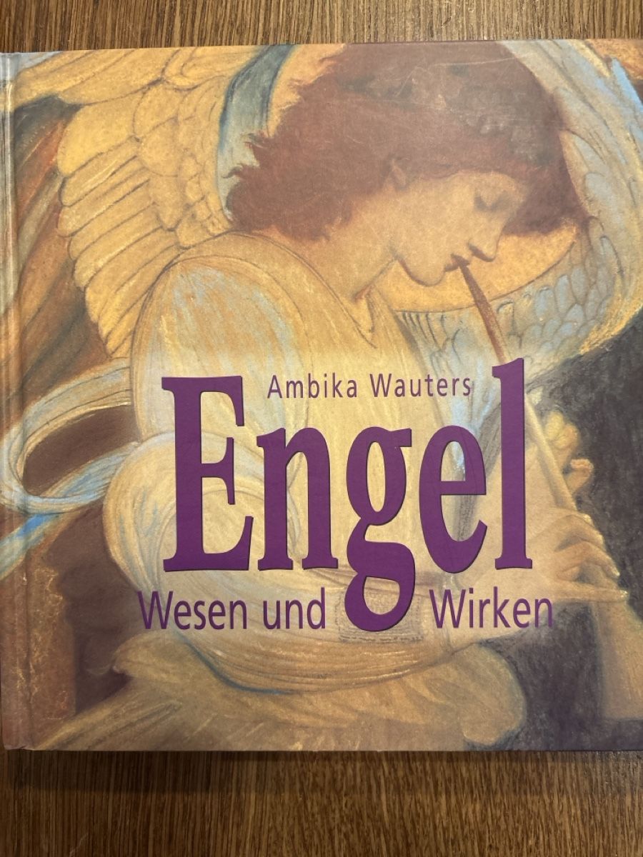 Livres: Engelbücher  – D'occasion à Reitnau par Kangal1976 2