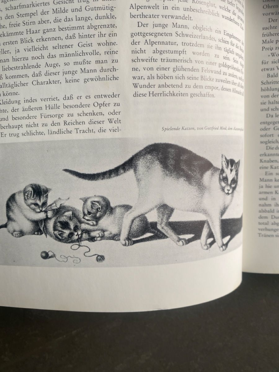 Libri: Wie's frueher war in der Schweiz – Nuovo (secondo la descrizione) da Dallenwil venduto da kavogt6 7