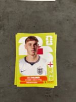 Panini Sticker ENG 12, England WM 2026