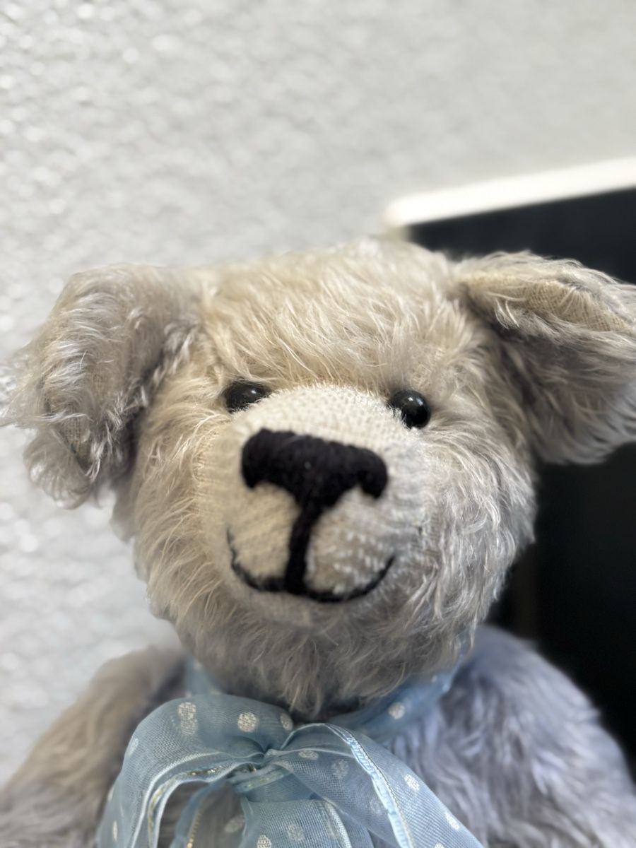 Giocattoli: Teddy 🐻 – Usato da Balsthal venduto da AGUARDA 1