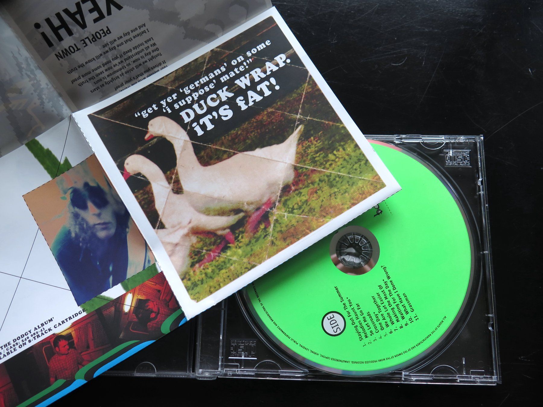 CD: (p) CD DODGY: Homegrown, 1994 – Usato da Bern venduto da Balzamico 2