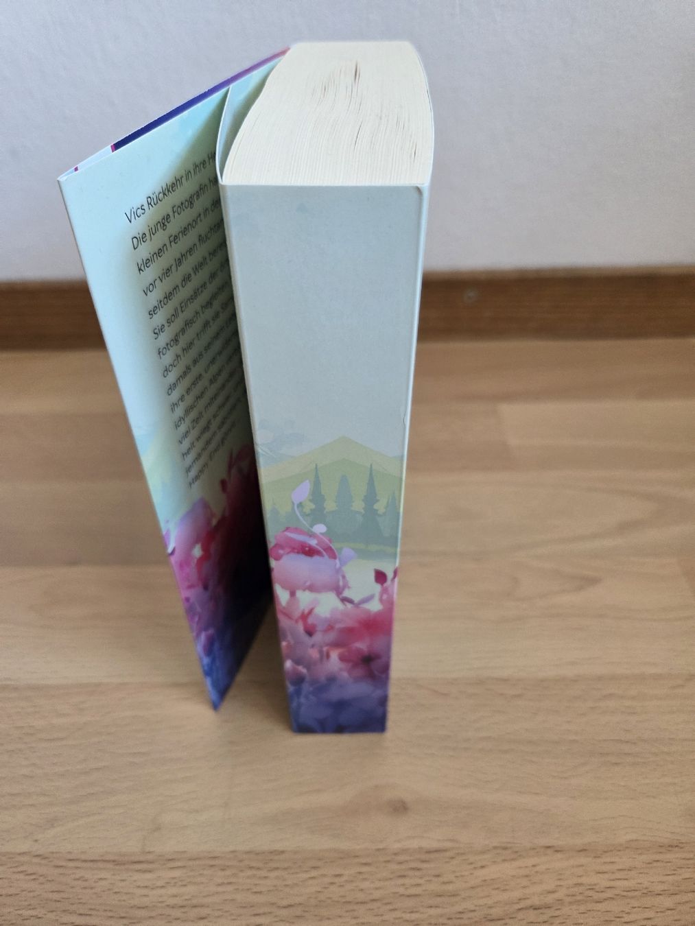 Libri: Roman "A mountain between us" von Jenni Krawiec – Usato da Goldau venduto da eli_cg8t 2