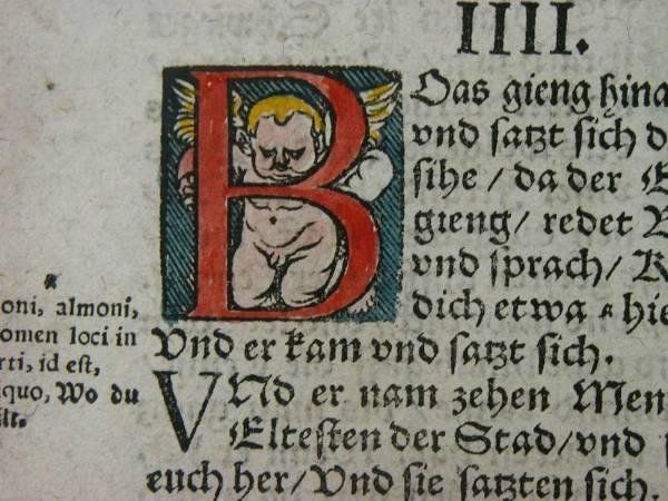 Libri: Bibelseite Luther (um 1559) – Usato da Pfäffikon ZH venduto da Zimizami 5