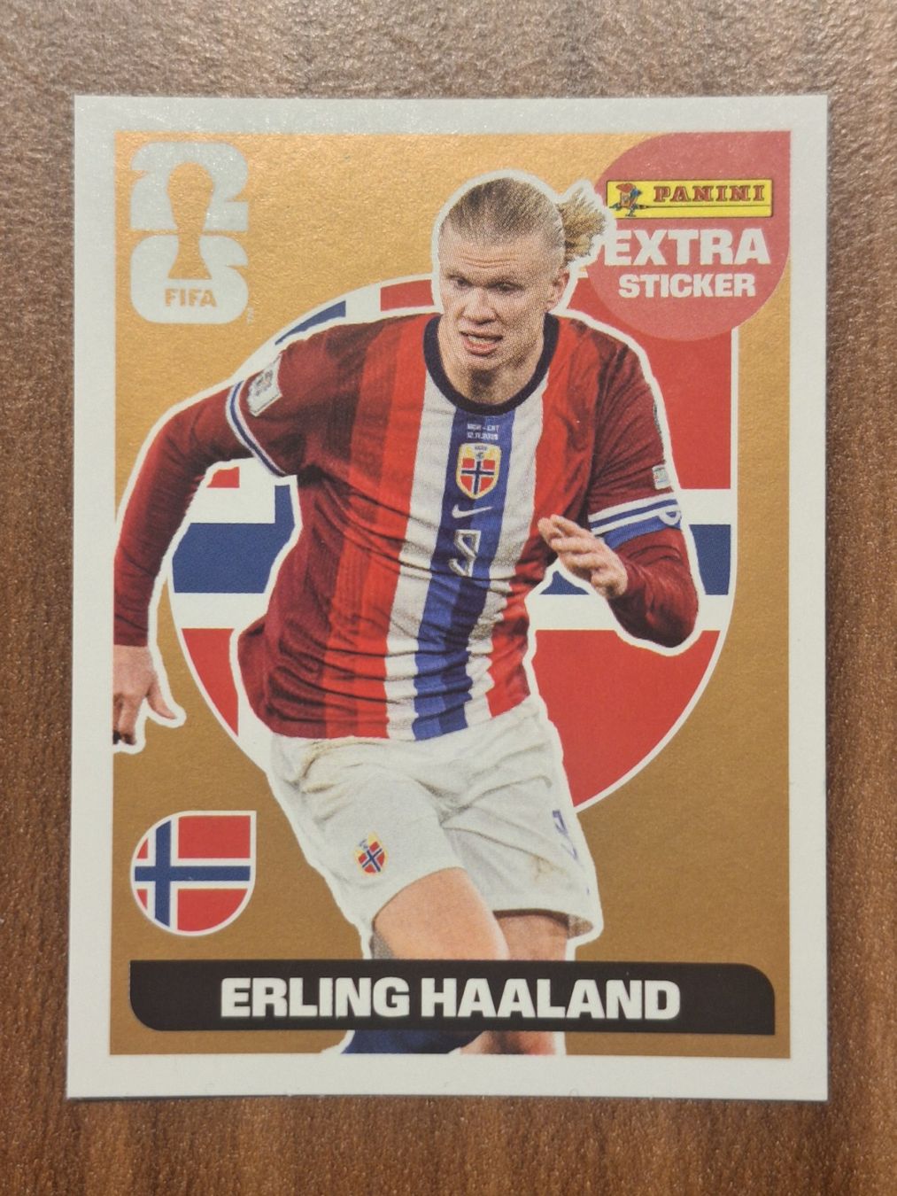 Panini Carte collezionabili: Erling Haland Panini Extra Sticker Gold – Nuovo (secondo la descrizione) da Siegershausen venduto da Fabienne115