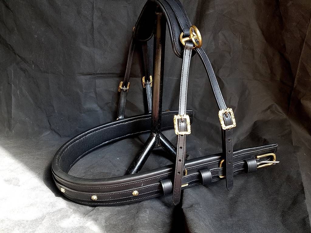 Attrezzatura da arrampicata: Harnais  exclusive pour cheval taille  Cob – Usato da Hinterforst venduto da Elfrasty 3
