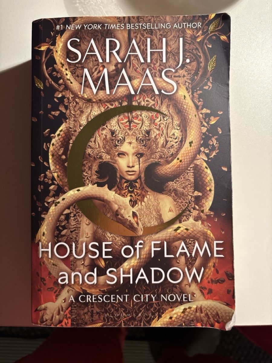 Libri: House of Flame and Shadow – Usato da Frutigen venduto da len_5bkg