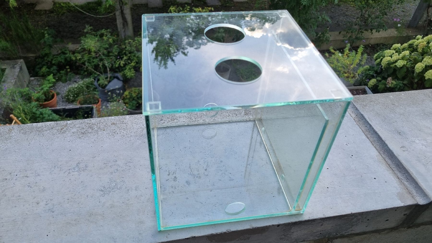 Terrarium: Formicarium / Ameisenarena – Gebraucht aus Zürich von faka01 1