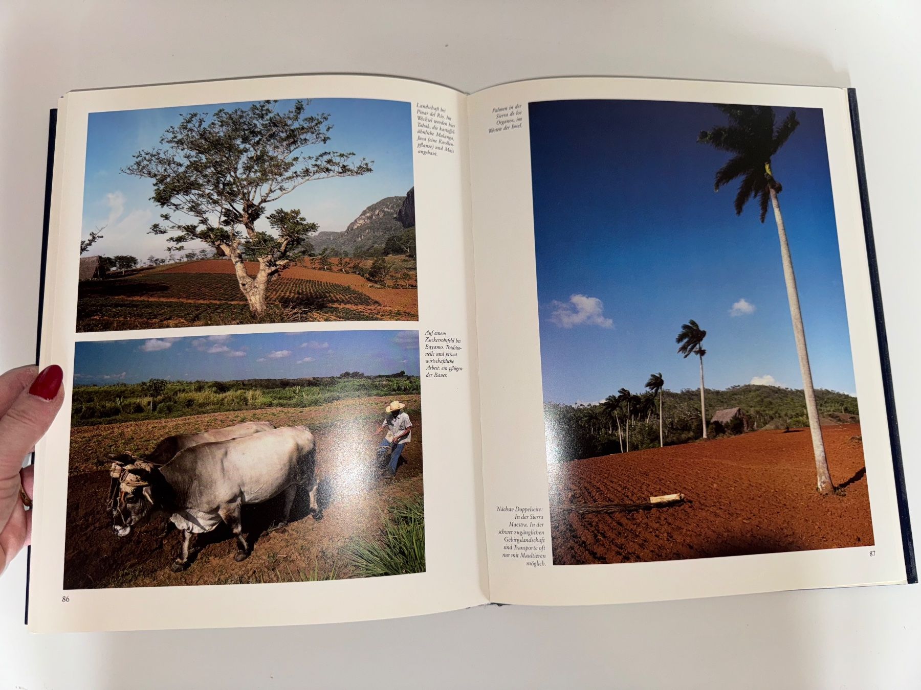 Libri: Buch: Kuba, Betz und Gross – Usato da Grosswangen venduto da Second_hand_paradise 4