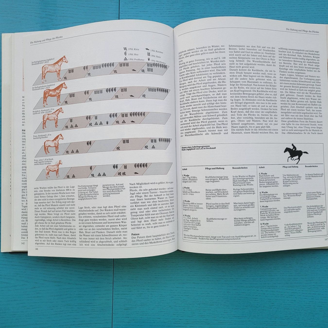 Libri: Das grosse Buch vom Pferd – Usato da SCHÜBELBACH venduto da CoKaHa 7