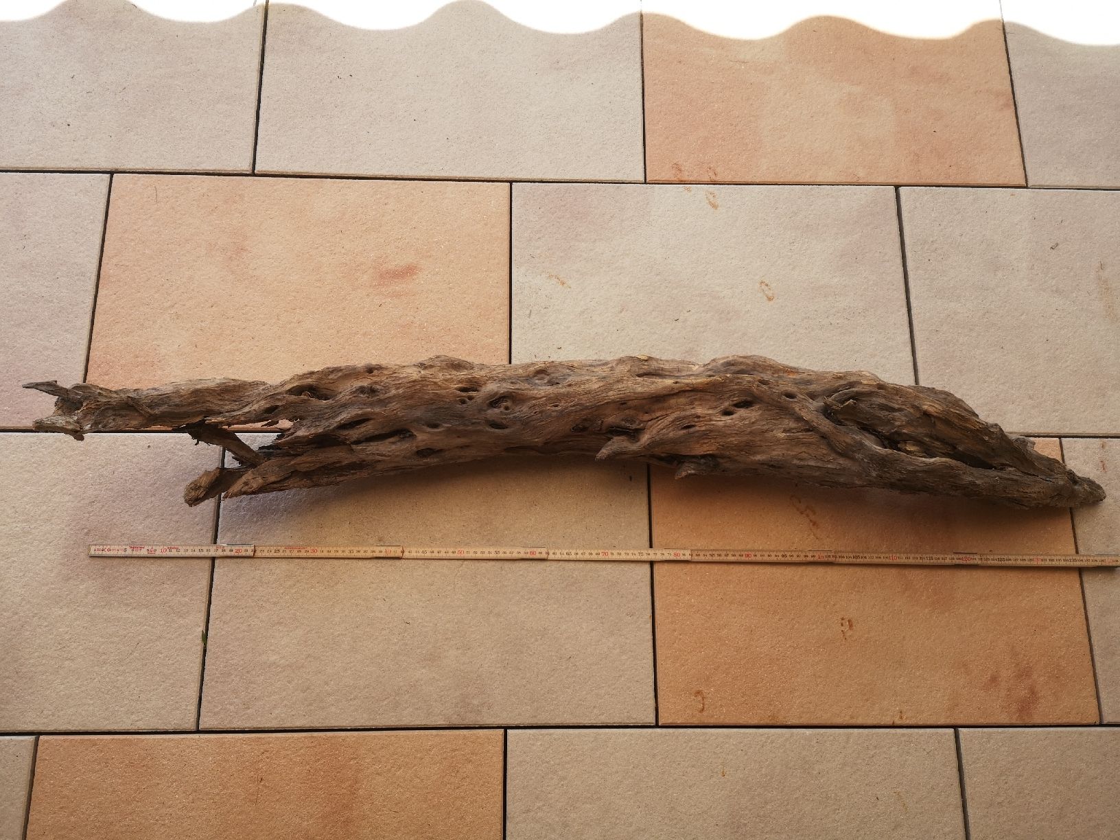 Articoli in legno: Schwemmholz sehr gross – Nuovo (secondo la descrizione) da Vordemwald venduto da Esel04