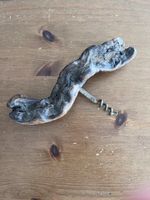 Flaschenoeffner Treibholz Unikat guter Zustand