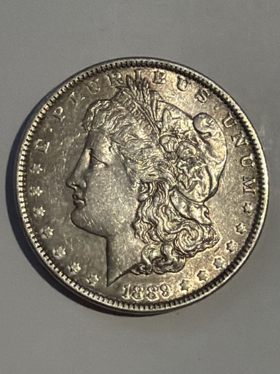 Alle Münzen: 1 Morgan Dollar 1889 – Gebraucht aus Hittnau von Pat_yl7f