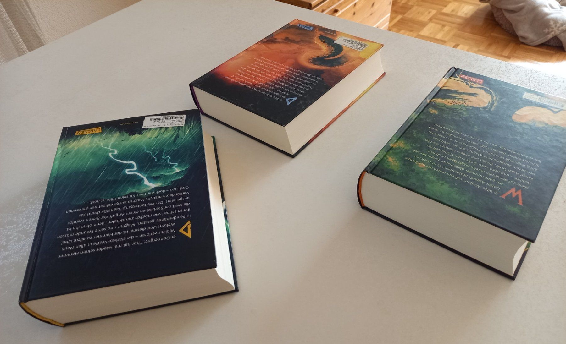 Libri: Magnus Chase Trilogie - Rick Riordan – Usato da Effretikon venduto da Ricardo0830 2