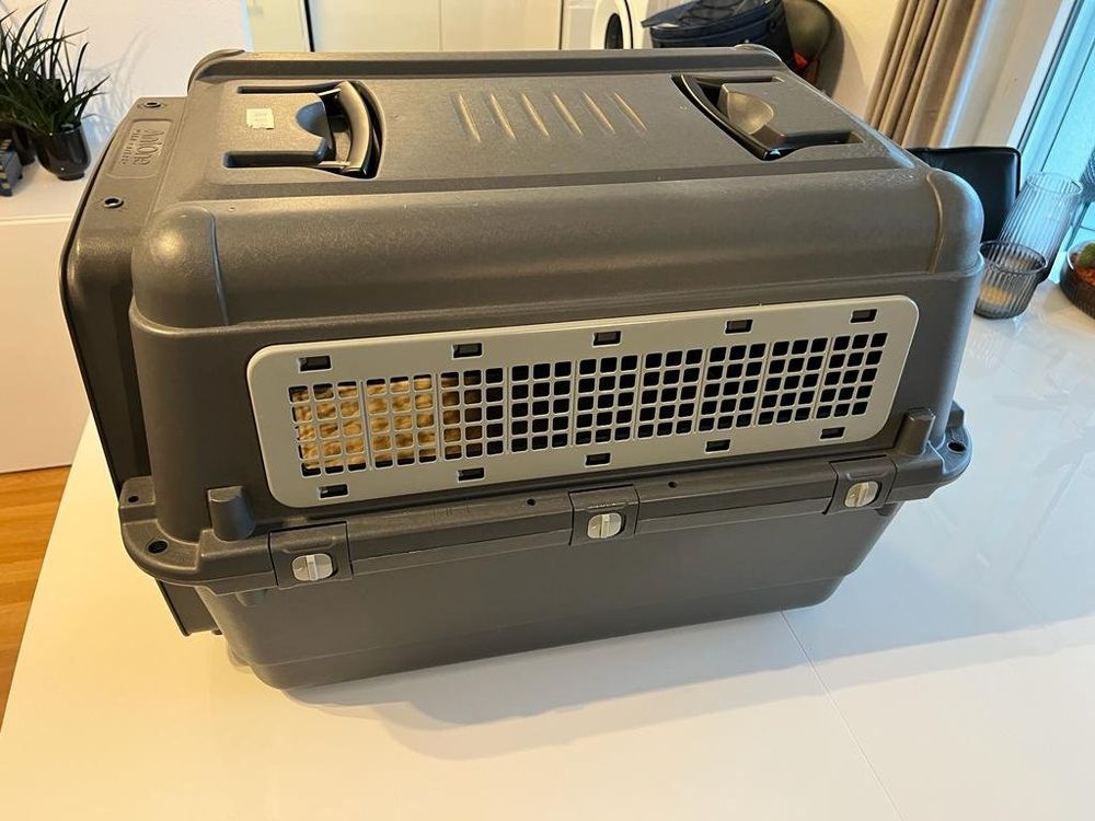 Transportbox Gr. M | Kaufen auf Ricardo