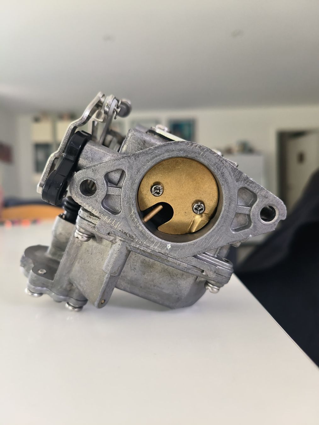 Mercury Motori: Revidierter Mercury original Vergaser 8ps – Usato da Schmitten FR venduto da Planktoni47 2