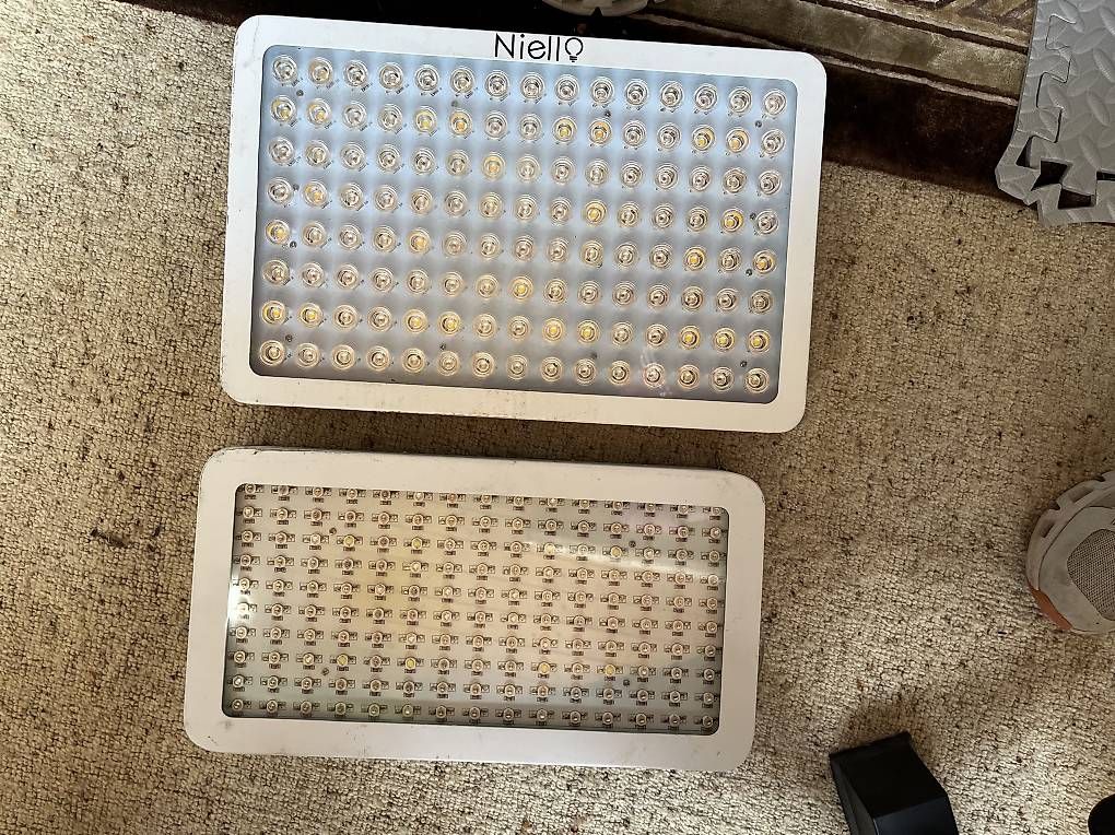 Lampade: Led Grow lights 300w 3500k – Usato da Berneck venduto da Gtv6 2
