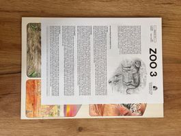 1 Modellbogen Pädagogischer Verlag Zoo 3