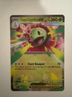 Pokemon Mega Meganie EX