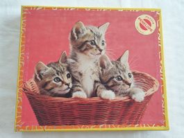Penelope Multipuzzle aus Holz 4×25-teilig Katze, Hund