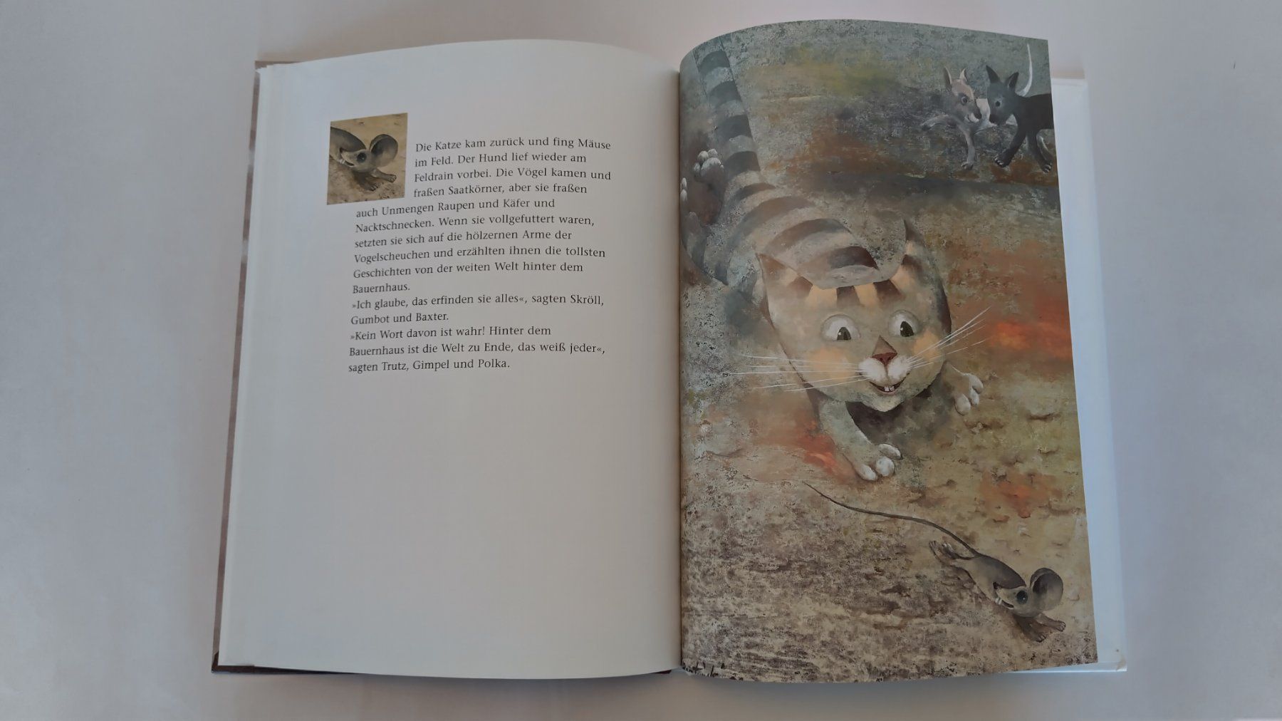 Livres: Die sieben Vogelscheuchen / Bilderbuch 1998 ab Fr. 10.- – D'occasion à Bellach par JingleJerry 8