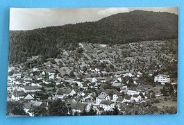 Oberdorf (BL) - Dorfansicht von Westen