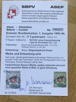 Rayon 17 II C2 - LU, breitrandig und mit Attest U. Hermann