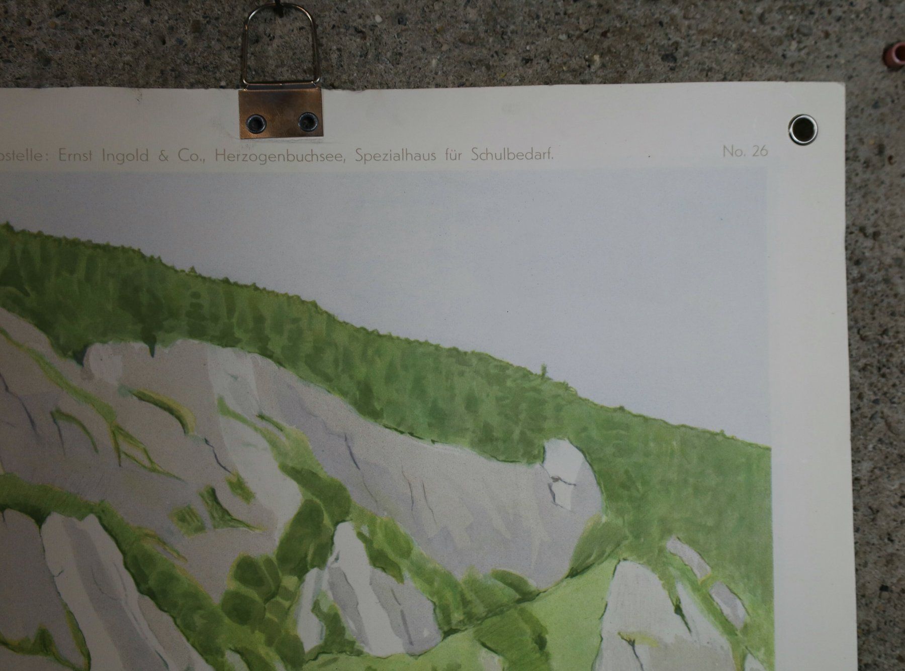 Posters & Illustrations: Schulwandbild "Juraviper" Paul-A. Robert – D'occasion à Birrwil par brandschatz_birrwil 6