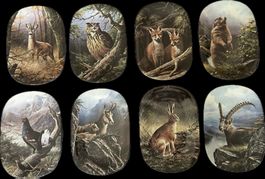 8er-Set „Tiere unserer Berge und Wälder“ Marcel Moser