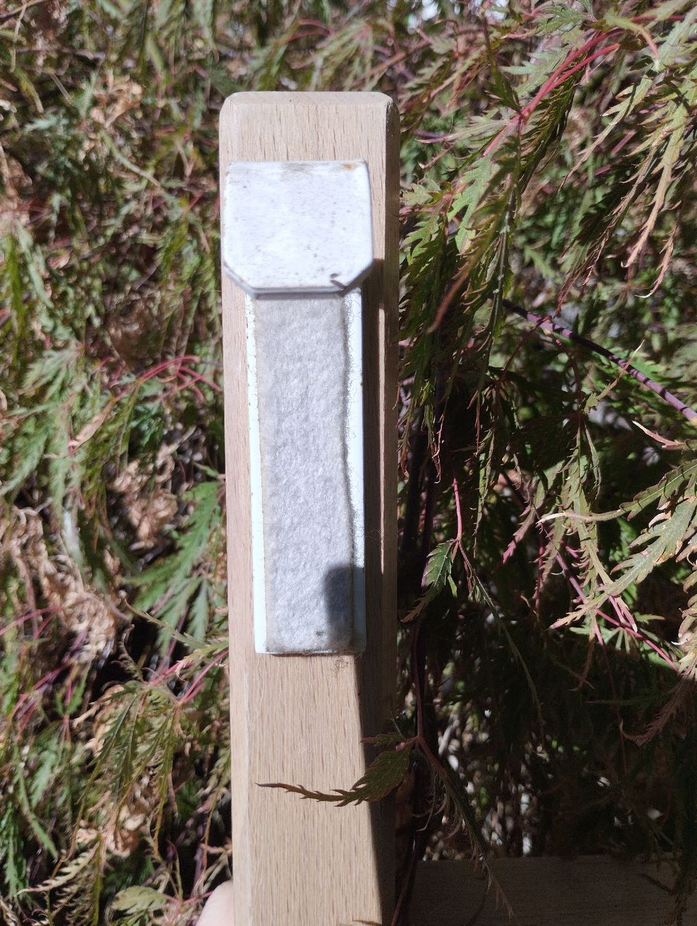 Scale: Leiter aus Holz – Usato da Ostermundigen venduto da Dinge1 7