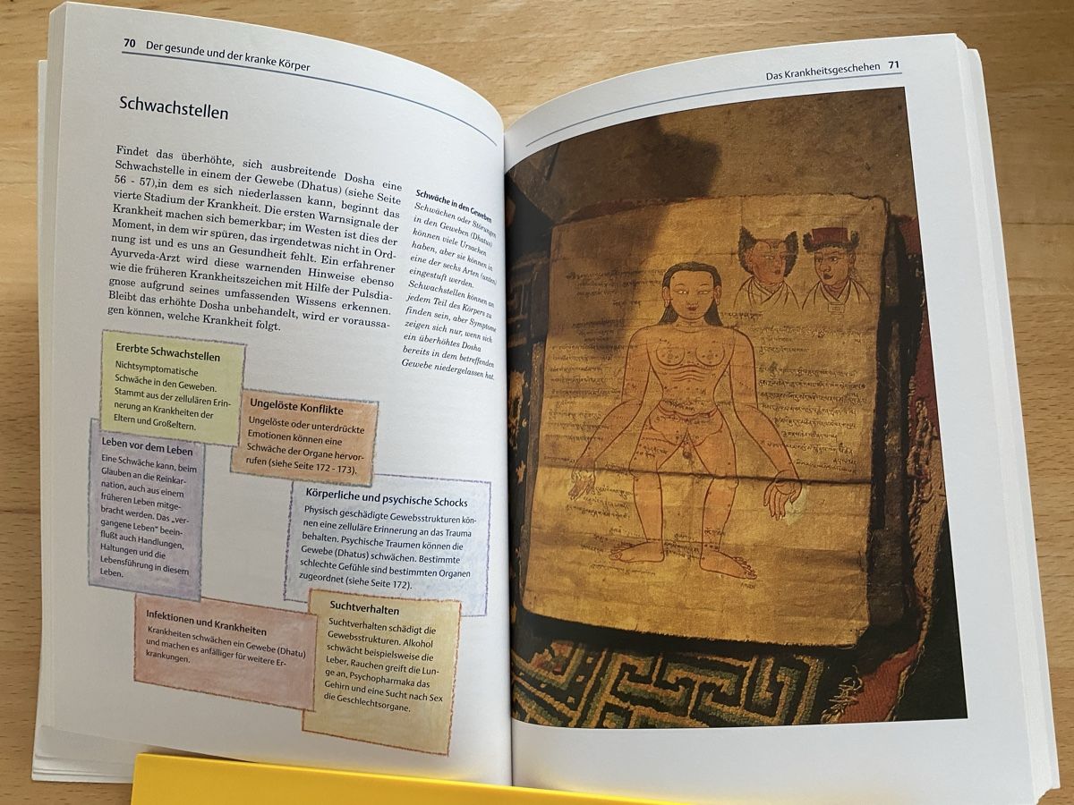 Libri: Ayurveda - Judith H. Morrison – Usato da Schwarzenburg venduto da Michellu 5