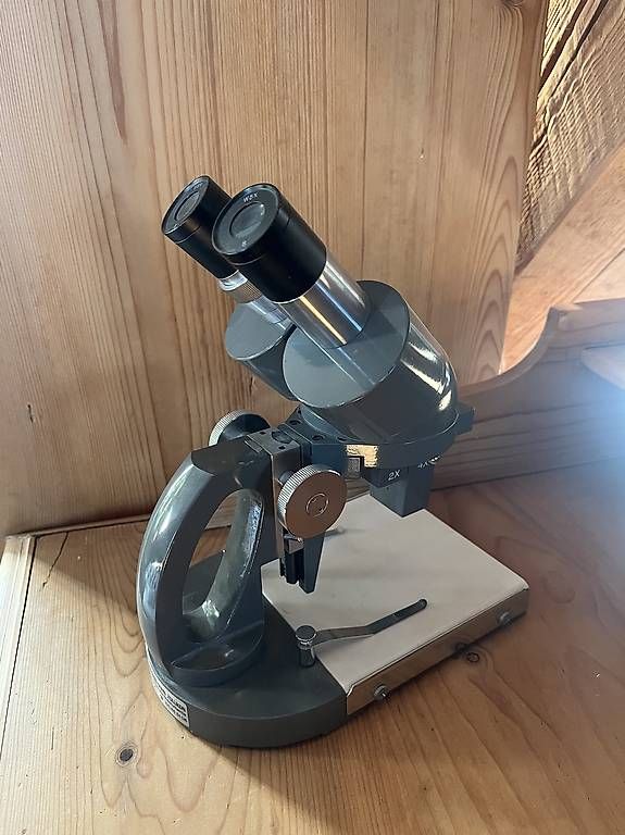 Microscopi: Binocular Auflichtmikroskop – Usato da Pfungen venduto da _vaanessaaf_