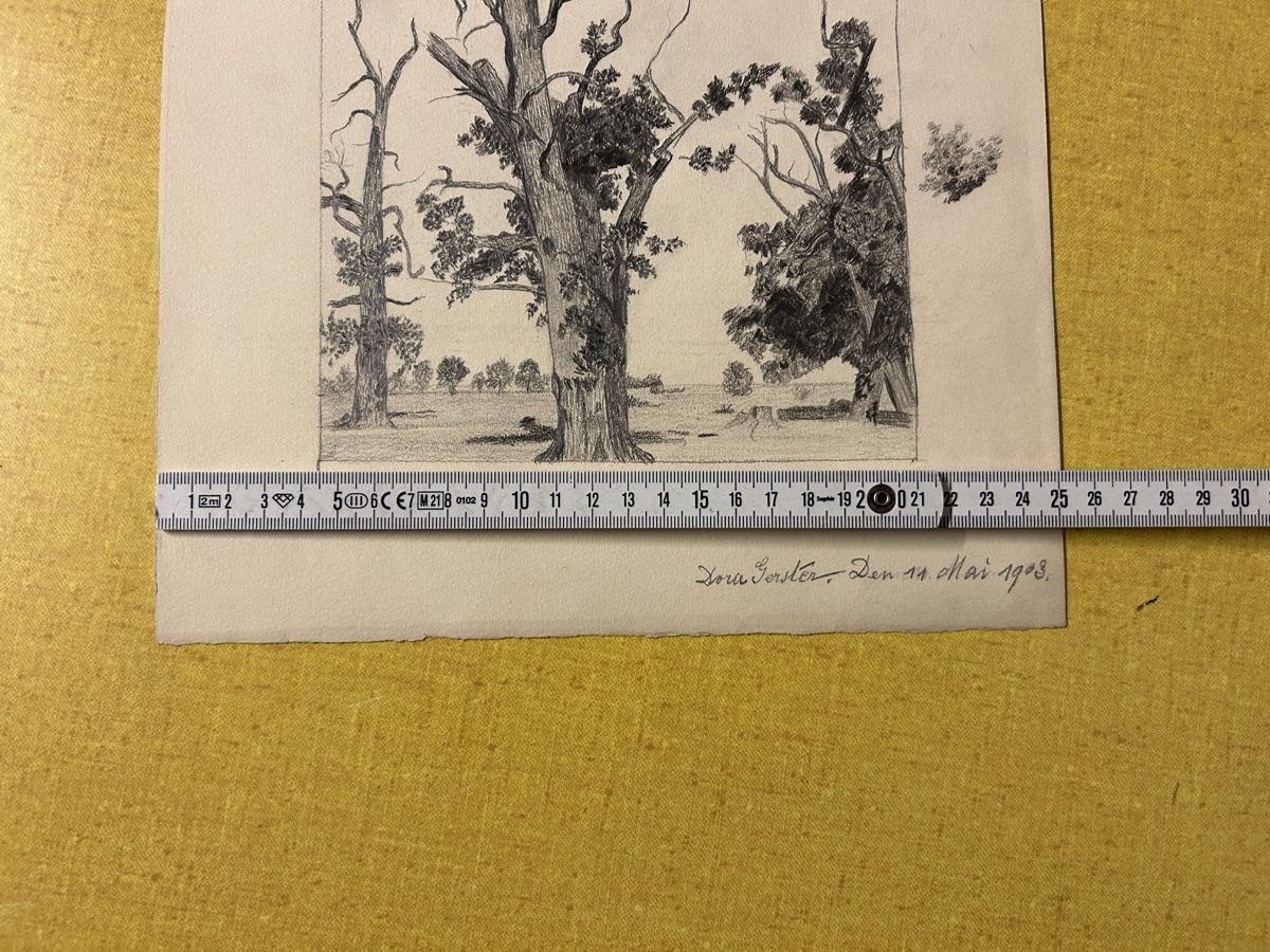 Poster & Bilder: Original Bleistiftzeichnung "Bäume"Signiert ? Datiert 1903. – Gebraucht aus Lanzenhäusern von vic63 6