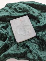 Aloe Vera Blätter Eckig Pfefferminze