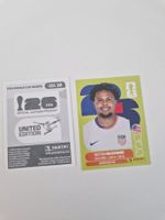Panini Sticker USA10