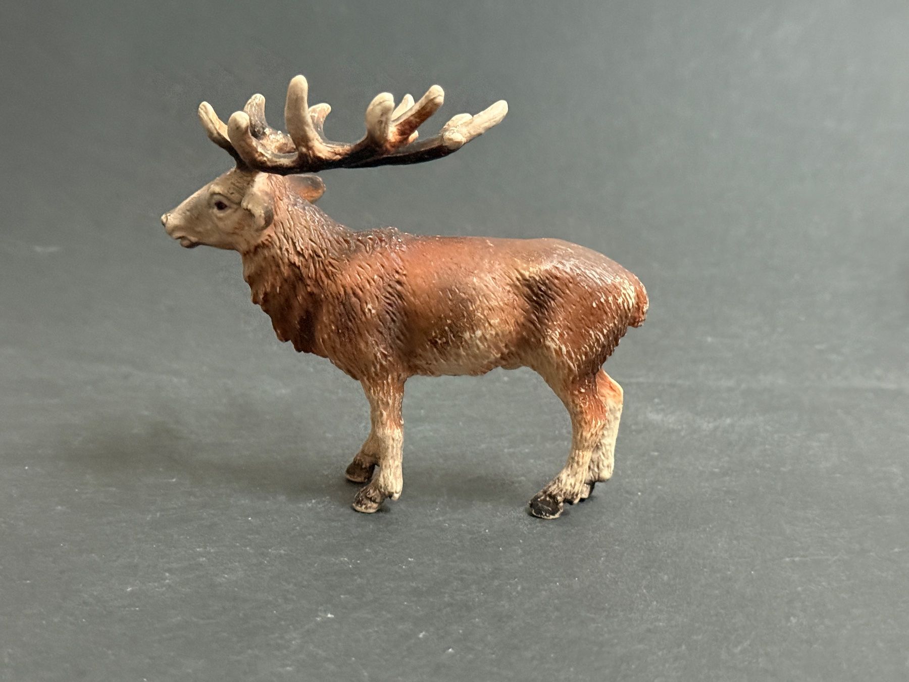 Schleich Statuette: Schleich Rothirsch Hirsch – Usato da Ennetbaden venduto da mapa05 6
