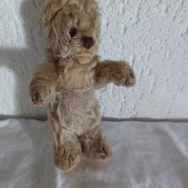 Steiff Giocattoli: Steiff winziges abgeliebtes Bärchen 18 cm gross – Usato da Abtwil SG venduto da luupsy 1