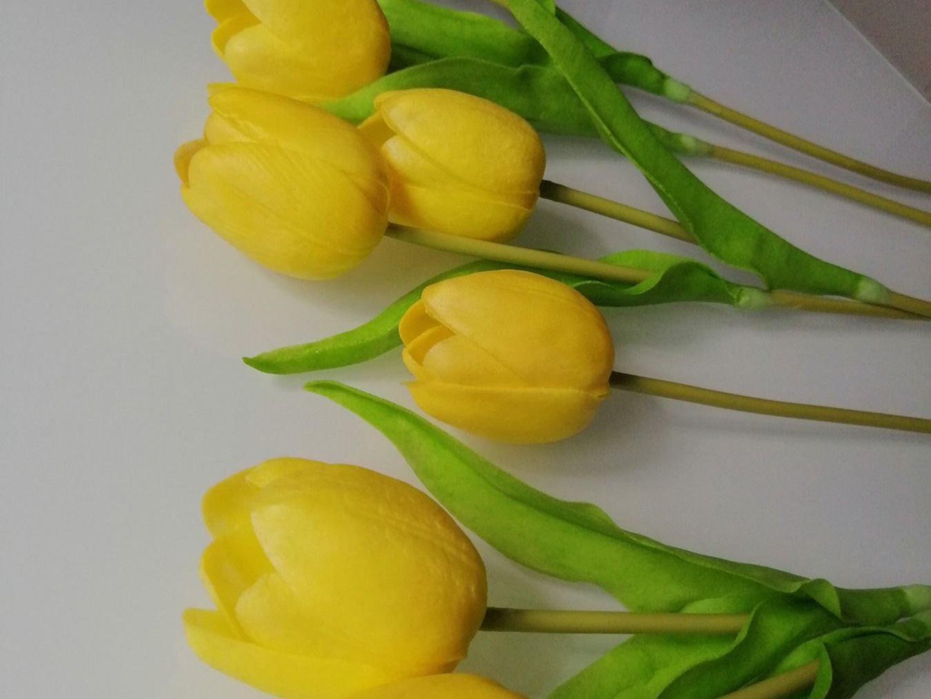 Pflanzen & Samen: gelbe kunst Tulpen 7 Stk. – Gebraucht aus Biel/Bienne von M.D.C