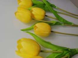 gelbe kunst Tulpen 7 Stk.