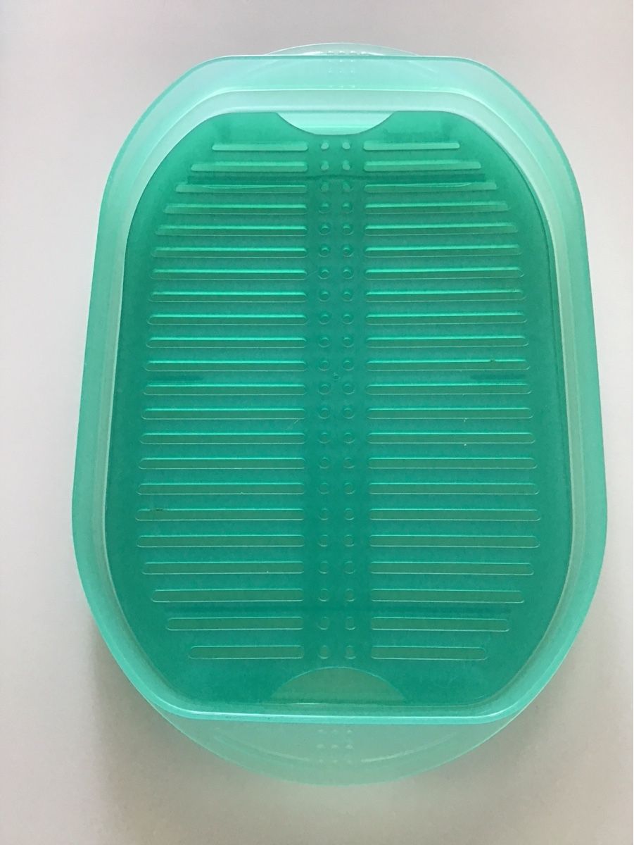 Tupperware Contenitori & Simili: 2er Set Tupperware Frischehauben mit Gitter  – Usato da Dietikon venduto da brombolom 1
