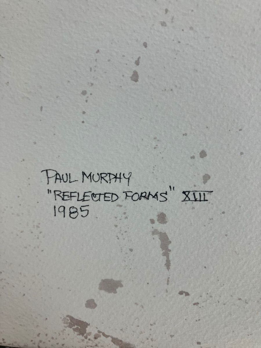 Dipinti: Grandes aquarelles de Paul Murphy – Usato da La Tour-de-Peilz venduto da mon_pd6m 3