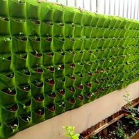 Anzucht bis 25 Pflanzen hors sol vertikal Plantage