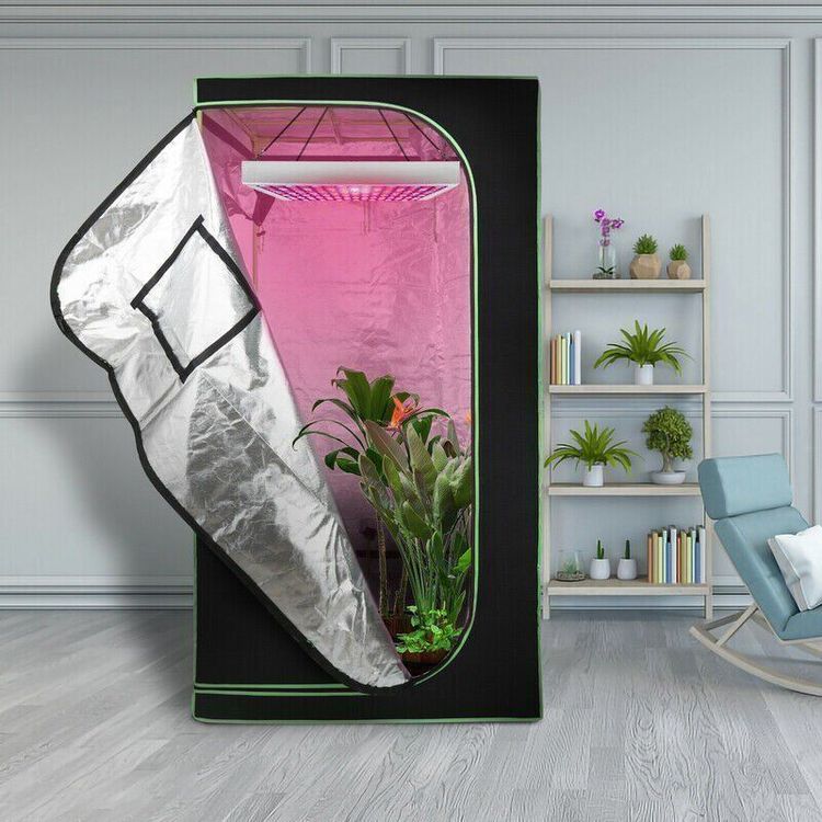 Growbox Gewächshaus Growzelt 100x100x200 Kaufen auf Ricardo