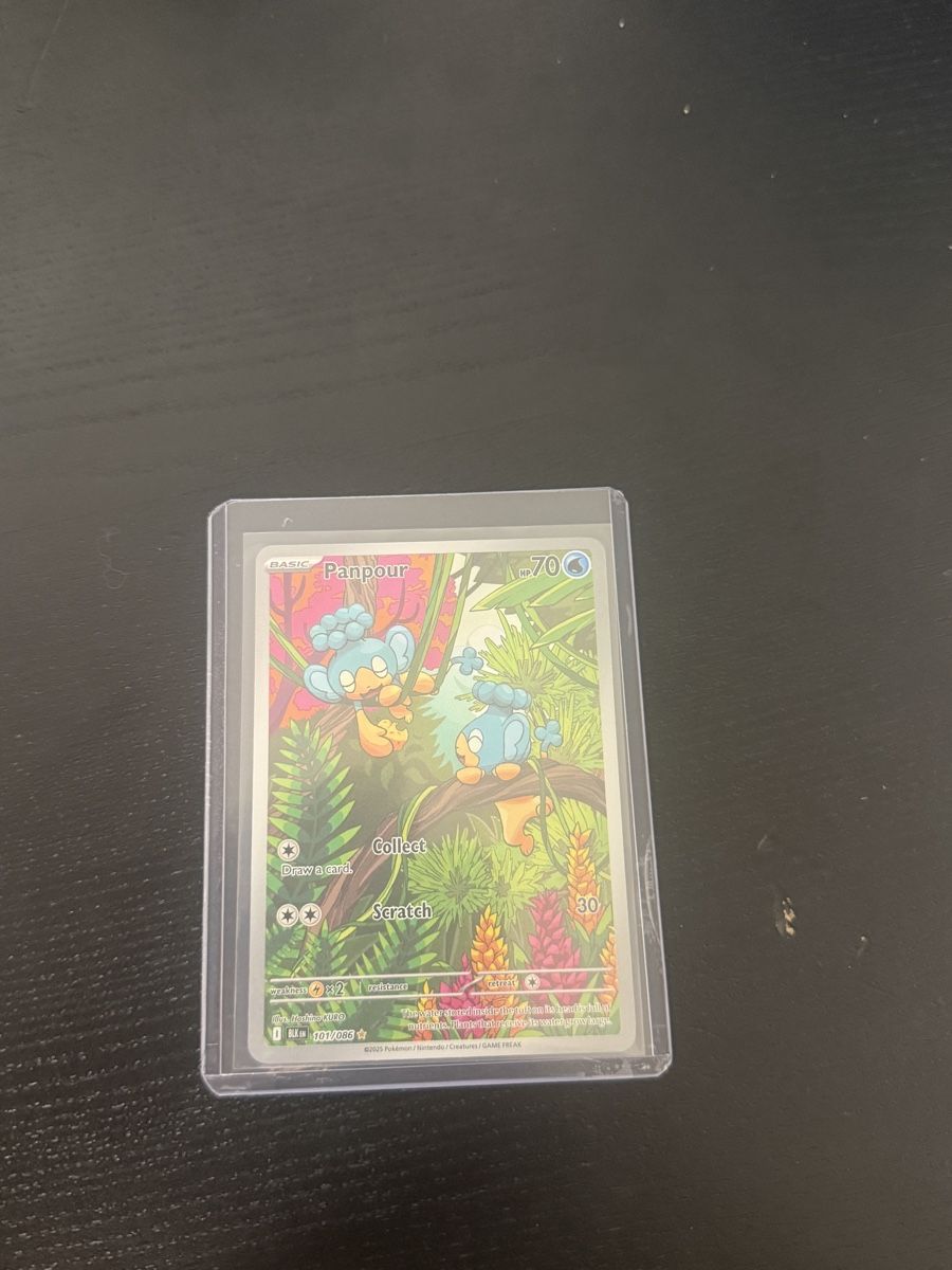 Pokémon Carte collezionabili: Pokemon Karten (Panpour) – Nuovo (secondo la descrizione) da Therwil venduto da no15636677