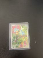 Pokemon Karten (Panpour)
