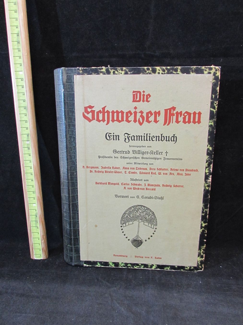 Libri: Die Schweizer Frau, Zahn 1900 – Usato da Walchwil venduto da Shells1